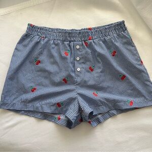 Urban Outfitters Embroidered Boxer Shorts